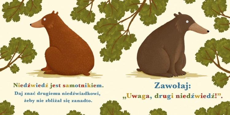 Rok w lesie. Niedźwiedż