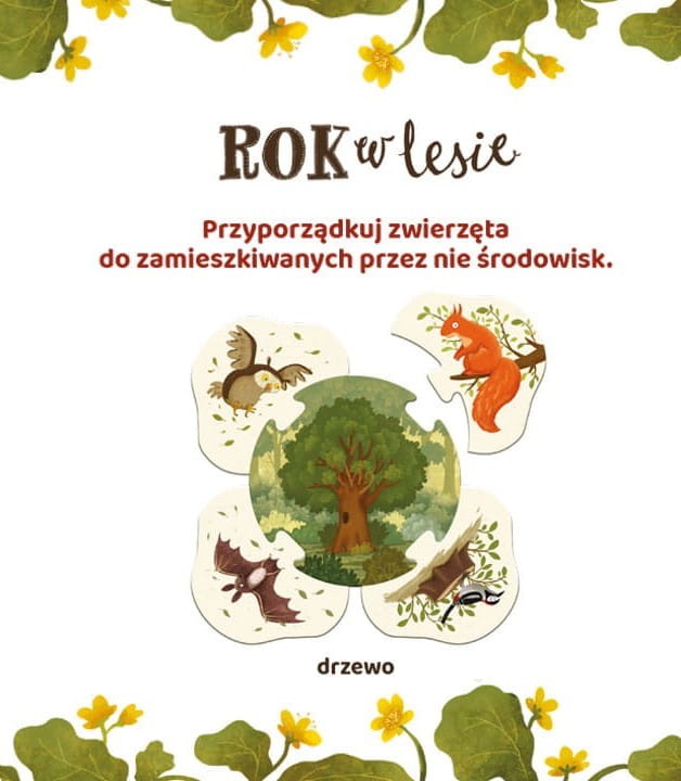 Rok w lesie. Gdzie żyją zwierzęta?
