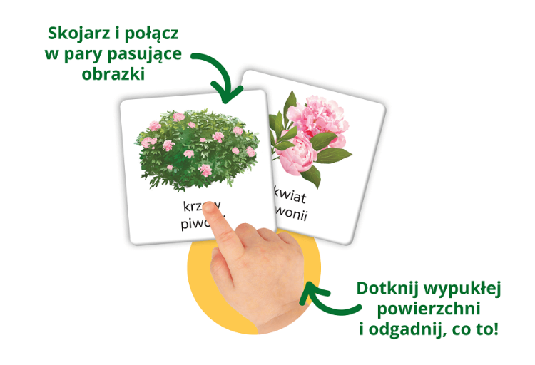 Przyroda tu i tam. Karty sensoryczne z książeczką