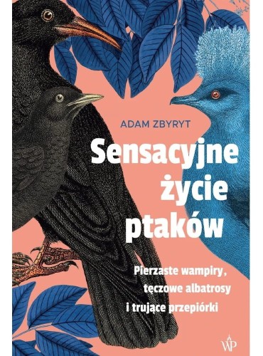 Sensacyjne życie ptaków