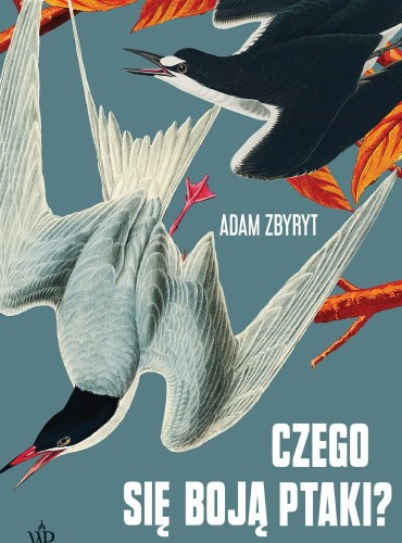 Czego się boją ptaki?