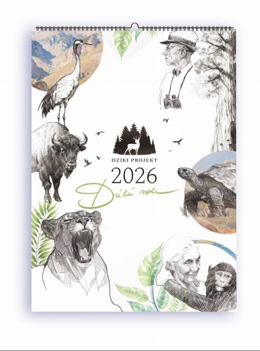 Dziki rok 2026. Kalendarz edukacyjny