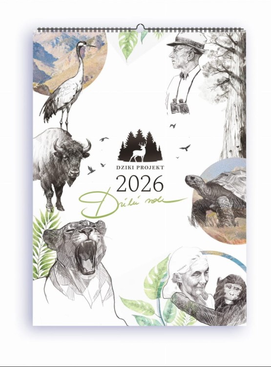 Dziki rok 2026. Kalendarz edukacyjny