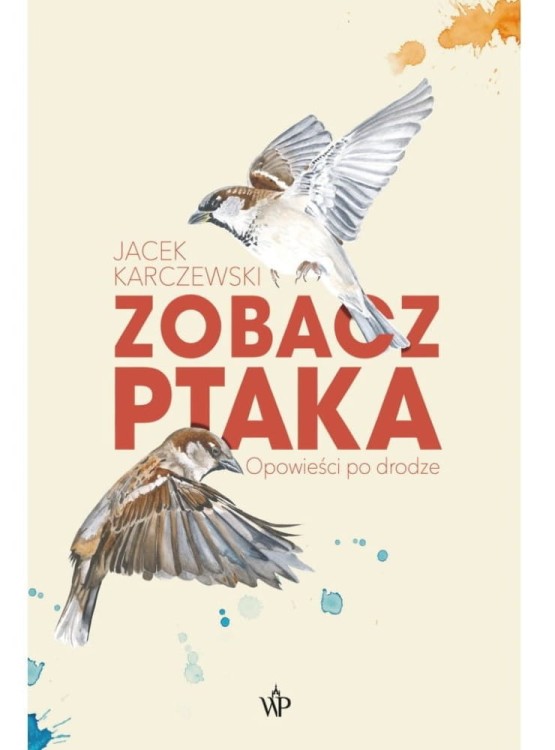 Zobacz ptaka. Opowieści po drodze