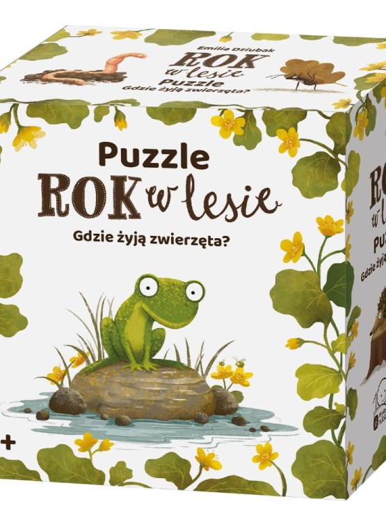 Rok w lesie. Gdzie żyją zwierzęta?