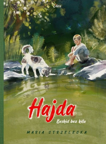 hajda-beskid-bez-kitu-b-iext141678770.jpg