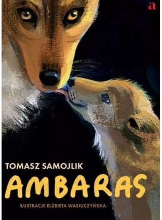 Ambaras1