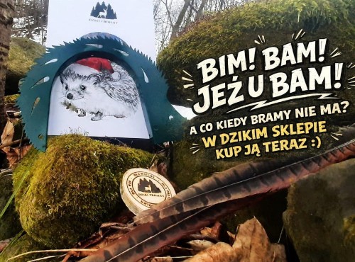 Brama dla jeża