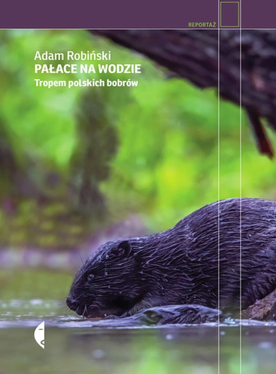 Pałace na wodzie. Tropem polskich bobrów