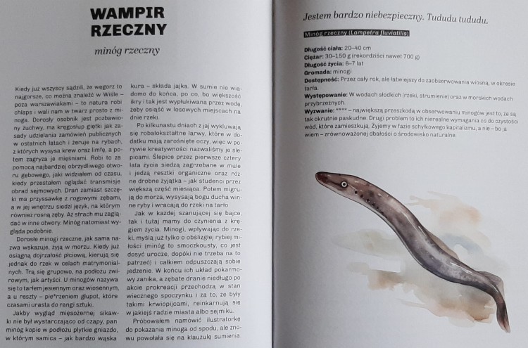 Głupie zwierzęta Polski i jak je znaleźć. Przewodnik świadomego obserwatora