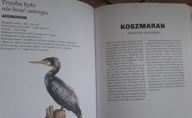 Głupie ptaki Polski. Przewodnik świadomego obserwatora