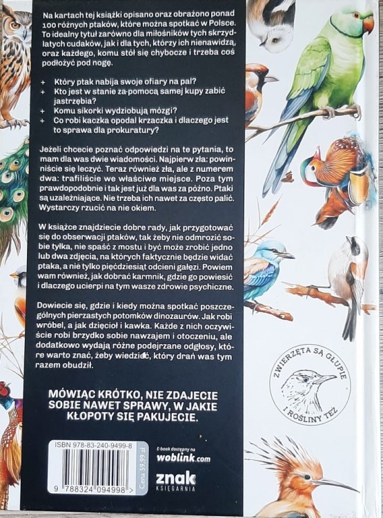 Głupie ptaki Polski. Przewodnik świadomego obserwatora