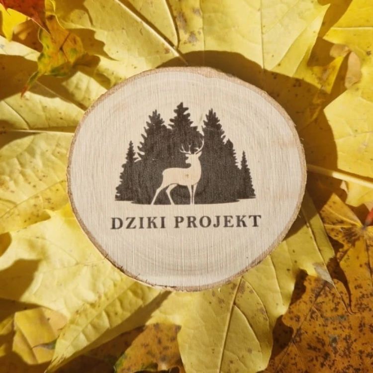 Magnes Dziki Projekt