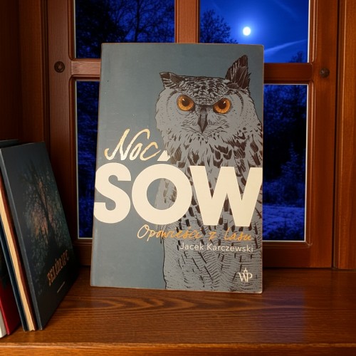Noc sów. Opowieści z lasu