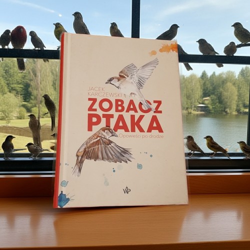 Zobacz ptaka. Opowieści po drodze